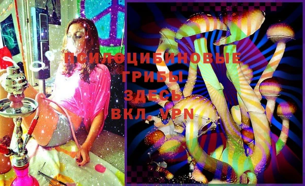 скорость Лиски